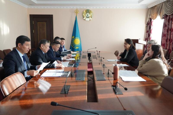 Развитие углеродных инициатив: встреча с представителями ПРООН прошла в Акмолинской области