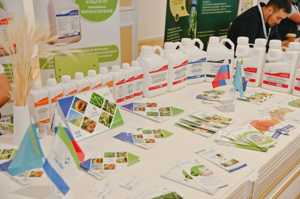 От селекции до цифры: главные темы аграрной выставки &laquo;Тұқым-2026. Қызылжар&raquo;