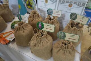 Конференция-выставка &laquo;День семян &ndash; Тұқым-2026. Атбасар&raquo; прошла в Акмолинской области