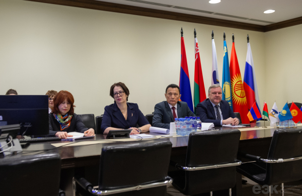 ЕЭК и АСЕАН усиливают связи в сфере таможенного регулирования ЕЭК и АСЕАН усиливают связи в сфере таможенного регулирования