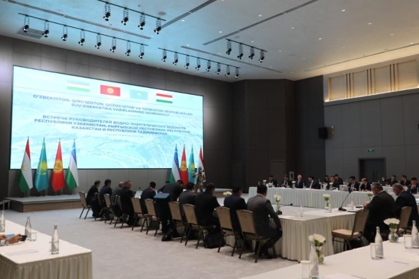 Страны ЦА усиливают водно-энергетическую безопасность региона Страны ЦА усиливают водно-энергетическую безопасность региона