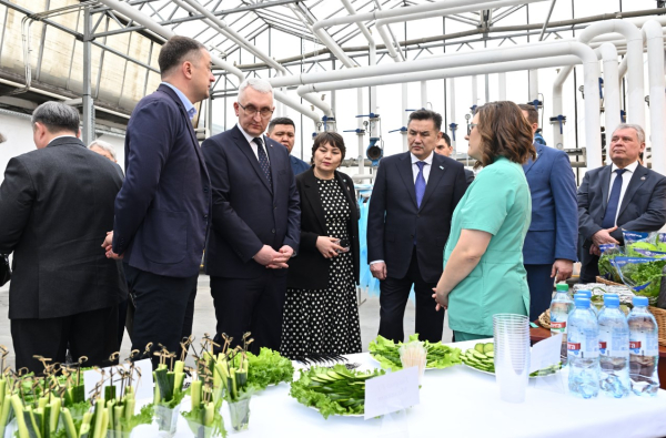 Новые возможности: ВКО и Алтайский край расширяют экономические связи Новые возможности: ВКО и Алтайский край расширяют экономические связи