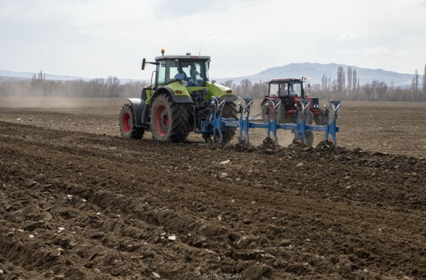 Аграрный рывок Жетісу: как регион наращивает посевы и готовится к большому урожаю Аграрный рывок Жетісу: как регион наращивает посевы и готовится к большому урожаю