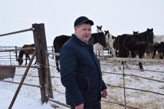 В ТОО &laquo;Агро LAKE&raquo; из Сандыктауского района развивается животноводство