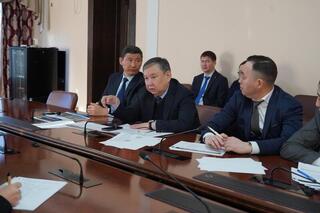 Развитие углеродных инициатив: встреча с представителями ПРООН прошла в Акмолинской области