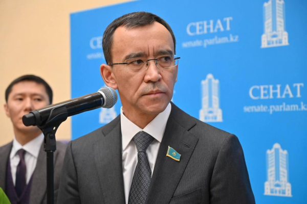 Маулен Ашимбаев: Народный совет Казахстана - это не повторение сената 