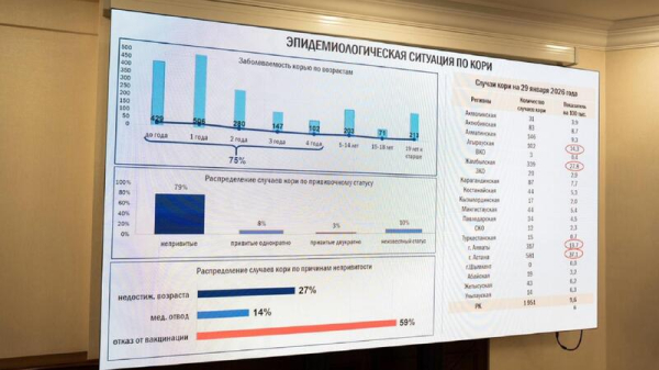 В Правительстве рассмотрели эпидситуацию по кори и охваты профилактическими прививками