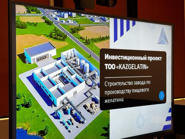 От сырья к продукту: Казахстан усиливает глубокую переработку животноводства