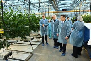 Делегация ВКО ознакомилась с работой крупнейшей теплицы в Барнауле