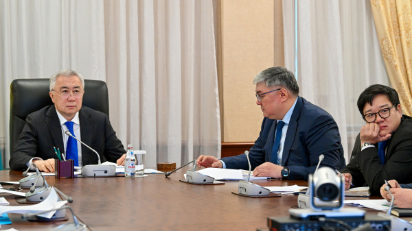 В Казахстане определили 16 приоритетных направлений для инвестиций до 2030 года