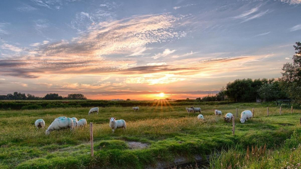 В Жамбылской области государству вернули почти 275 гектаров земли
