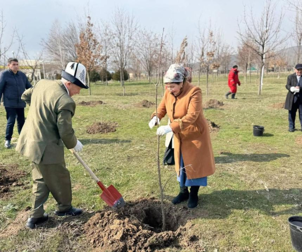 «Таза Қазақстан»: в Тюлькубасском районе продолжают озеленение «Таза Қазақстан»: в Тюлькубасском районе продолжают озеленение