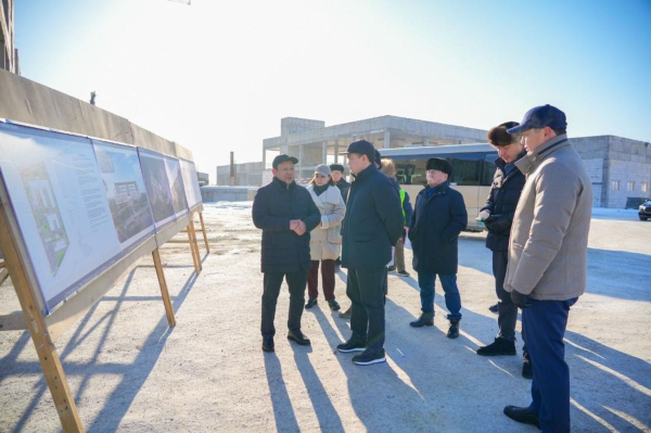 Новые перинатальные центры и детский травмпункт откроются в Астане Новые перинатальные центры и детский травмпункт откроются в Астане