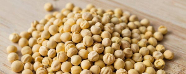 Предприятия Алтайского края делятся опытом с казахстанцами в сфере АПК Предприятия Алтайского края делятся опытом с казахстанцами в сфере АПК