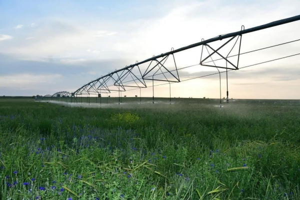 Экономия воды и рост урожайности: результаты Туркестанской области