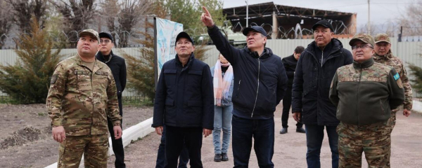 В Кызылорде ураган повредил линии электропередач и повалил деревья