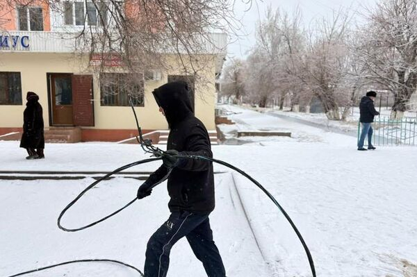 В Кызылорде ураган повредил линии электропередач и повалил деревья