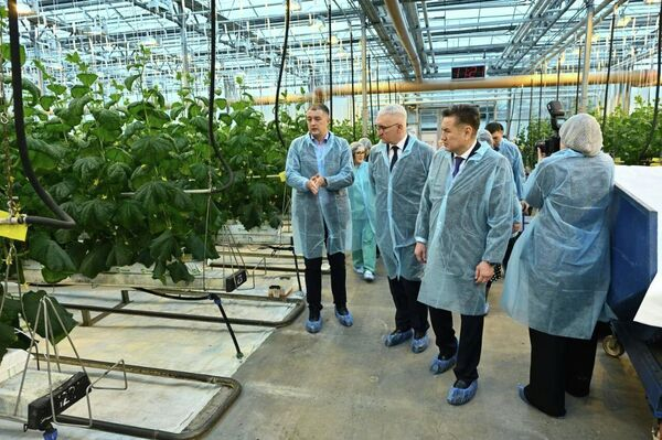 Предприятия Алтайского края делятся опытом с казахстанцами в сфере АПК Предприятия Алтайского края делятся опытом с казахстанцами в сфере АПК