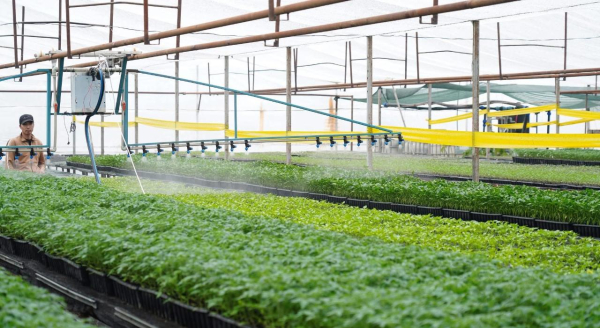 Экономия воды и рост урожайности: результаты Туркестанской области