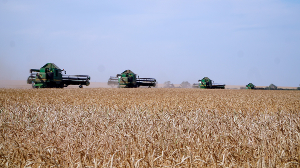 Казахстан меняет модель АПК: ставка на технологии, переработку и экспорт