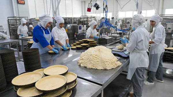 Развитие МСБ и спорта: в Астане создают базу мирового уровня