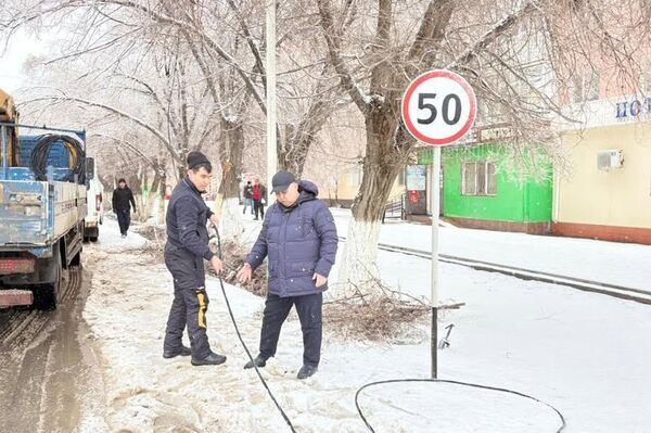 В Кызылорде ураган повредил линии электропередач и повалил деревья