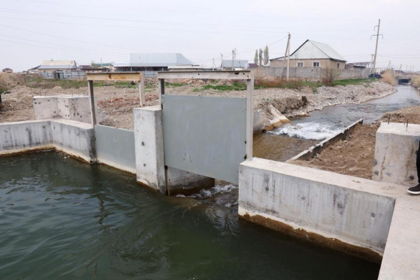 Вода, посевы и инвестиции: как Жамбылская область перестраивает агросектор