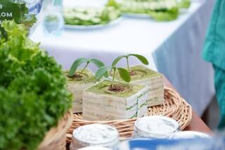 Делегация ВКО ознакомилась с работой крупнейшей теплицы в Барнауле