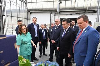 Делегация ВКО ознакомилась с работой крупной теплицы в Барнауле