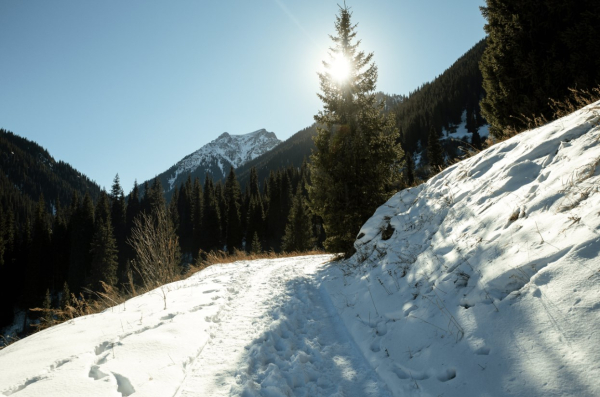 В Казахстане представили цифровые экотропы нового поколения В Казахстане представили цифровые экотропы нового поколения
