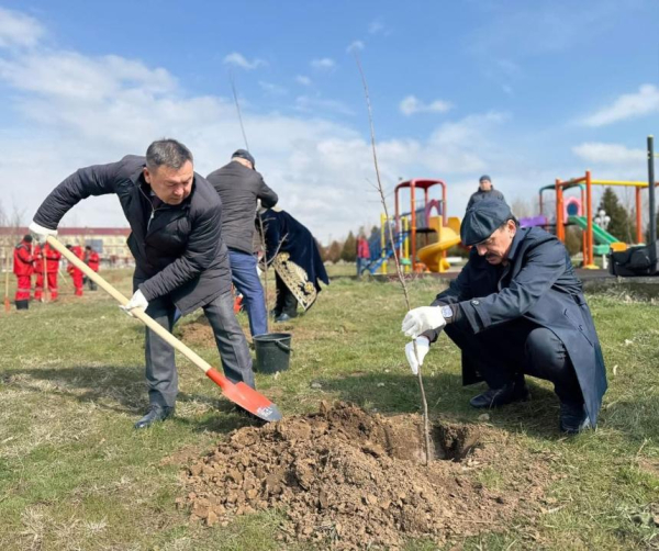 «Таза Қазақстан»: в Тюлькубасском районе продолжают озеленение «Таза Қазақстан»: в Тюлькубасском районе продолжают озеленение