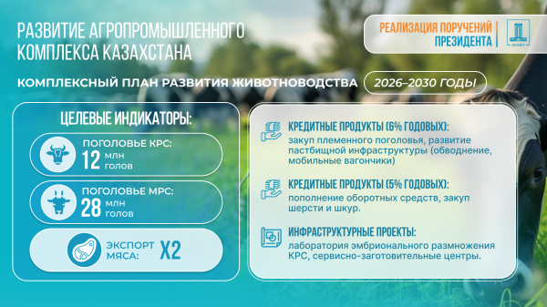 Казахстан меняет модель АПК: ставка на технологии, переработку и экспорт
