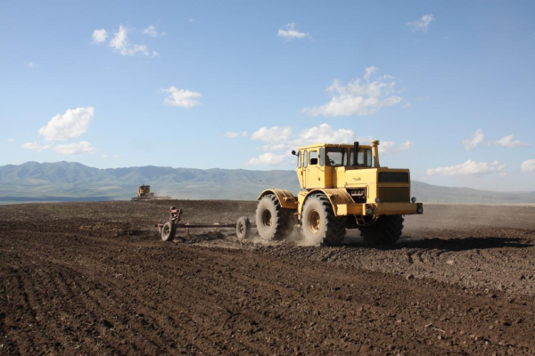 Аграрный рывок Жетісу: как регион наращивает посевы и готовится к большому урожаю Аграрный рывок Жетісу: как регион наращивает посевы и готовится к большому урожаю