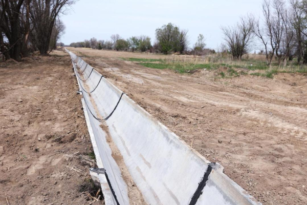 Вода, посевы и инвестиции: как Жамбылская область перестраивает агросектор