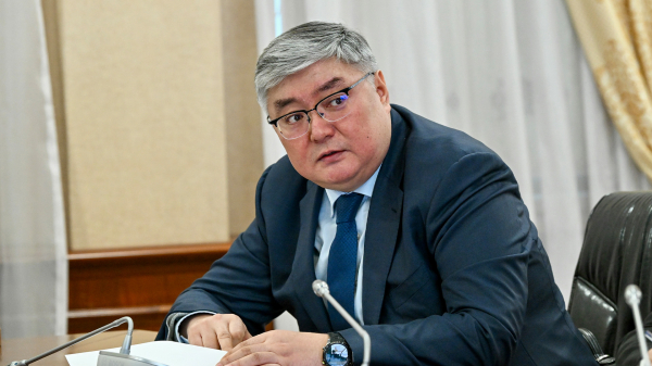 В Казахстане определили 16 приоритетных направлений для инвестиций до 2030 года