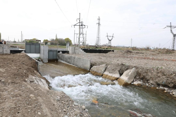 Вода, посевы и инвестиции: как Жамбылская область перестраивает агросектор