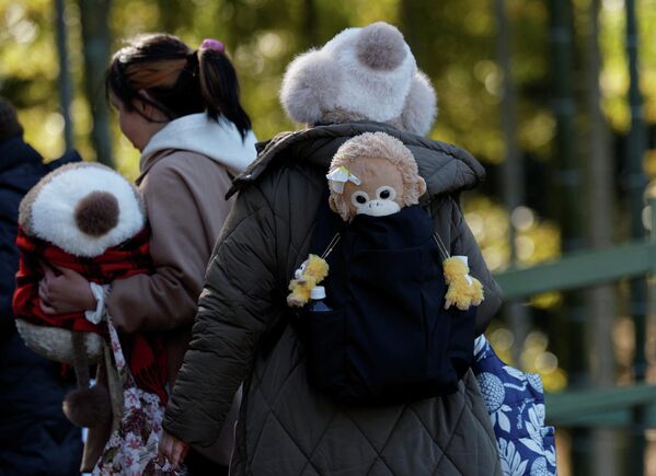 "Плюшевая мама", или История самой грустной обезьянки в мире по кличке Панч. Фото