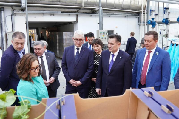 Делегация ВКО ознакомилась с работой крупнейшей теплицы в Барнауле