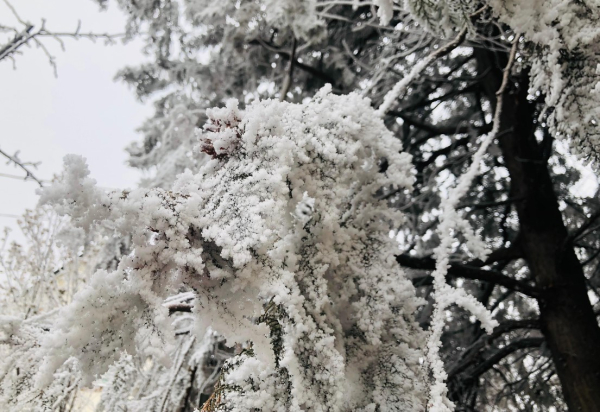 Морозы до &ndash;40 градусов и ветер до 30 м/с: где в Казахстане будет опаснее всего