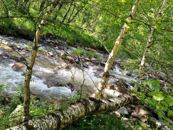 В этом году в области Жетісу создадут три экопарка