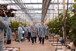 Делегация ВКО ознакомилась с работой крупнейшей теплицы в Барнауле