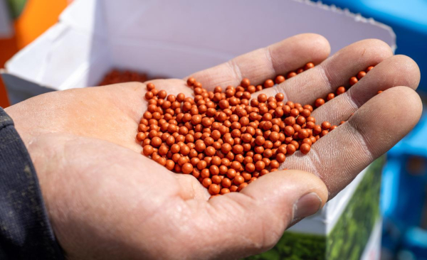 Аграрный рывок Жетісу: как регион наращивает посевы и готовится к большому урожаю Аграрный рывок Жетісу: как регион наращивает посевы и готовится к большому урожаю