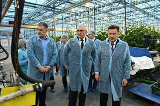 Делегация ВКО ознакомилась с работой крупной теплицы в Барнауле