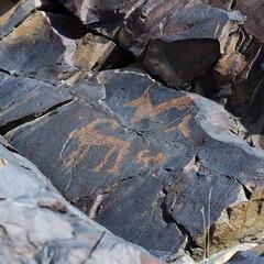 В этом году в области Жетісу создадут три экопарка