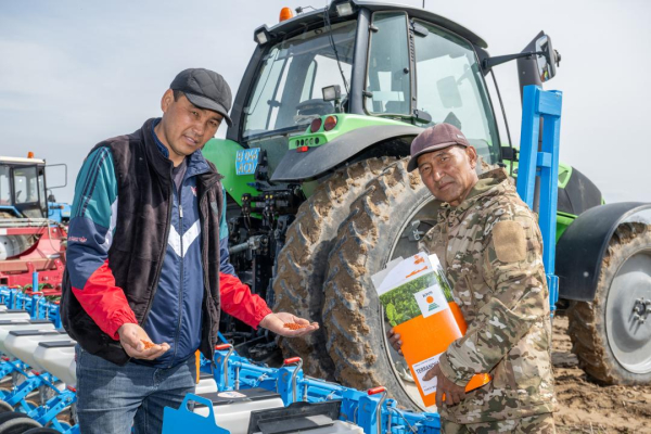 Аграрный рывок Жетісу: как регион наращивает посевы и готовится к большому урожаю Аграрный рывок Жетісу: как регион наращивает посевы и готовится к большому урожаю