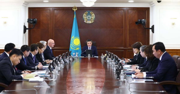 Казахстан создаёт национальную экосистему здравоохранения