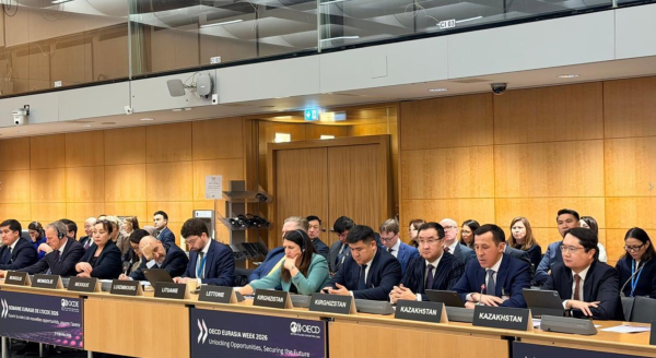 Казахстан подтверждает курс на международные стандарты ОЭСР