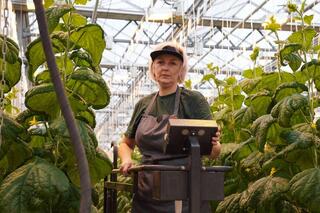 Делегация ВКО ознакомилась с работой крупнейшей теплицы в Барнауле