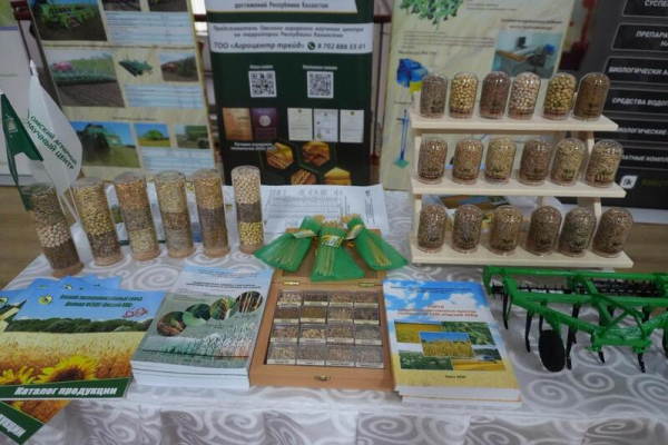 Конференция-выставка &laquo;День семян &ndash; Тұқым-2026. Атбасар&raquo; прошла в Акмолинской области