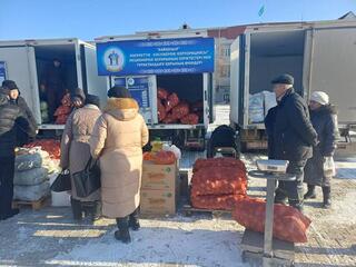 В Кызылординской области проходит ярмарка сельхозпродукции